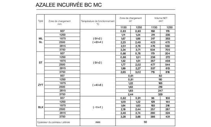Azalee Incurvée – Image 7